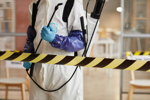 Professional Sewage Cleanup technician working in Auburn, IL