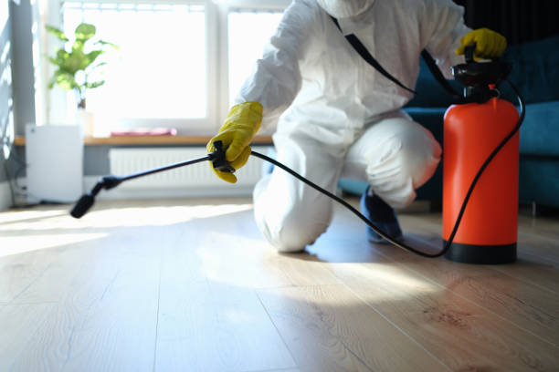 Reliable Sewage Cleanup contractor in Auburn, IL by Dulley Family Biohazard Services